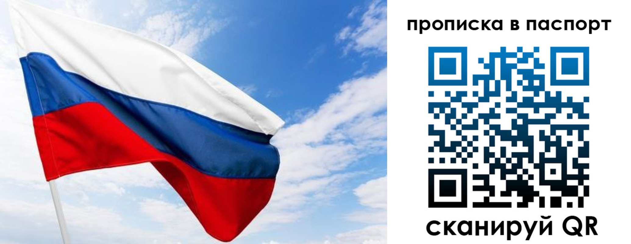 прописка поиск в Мытищах